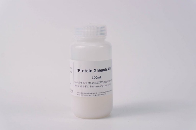 rProtein G Beads 4FF